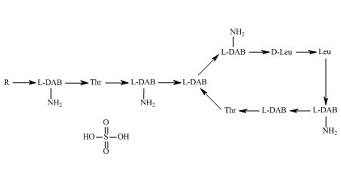 Colistin Sulfate (Mixture of A and B compound)